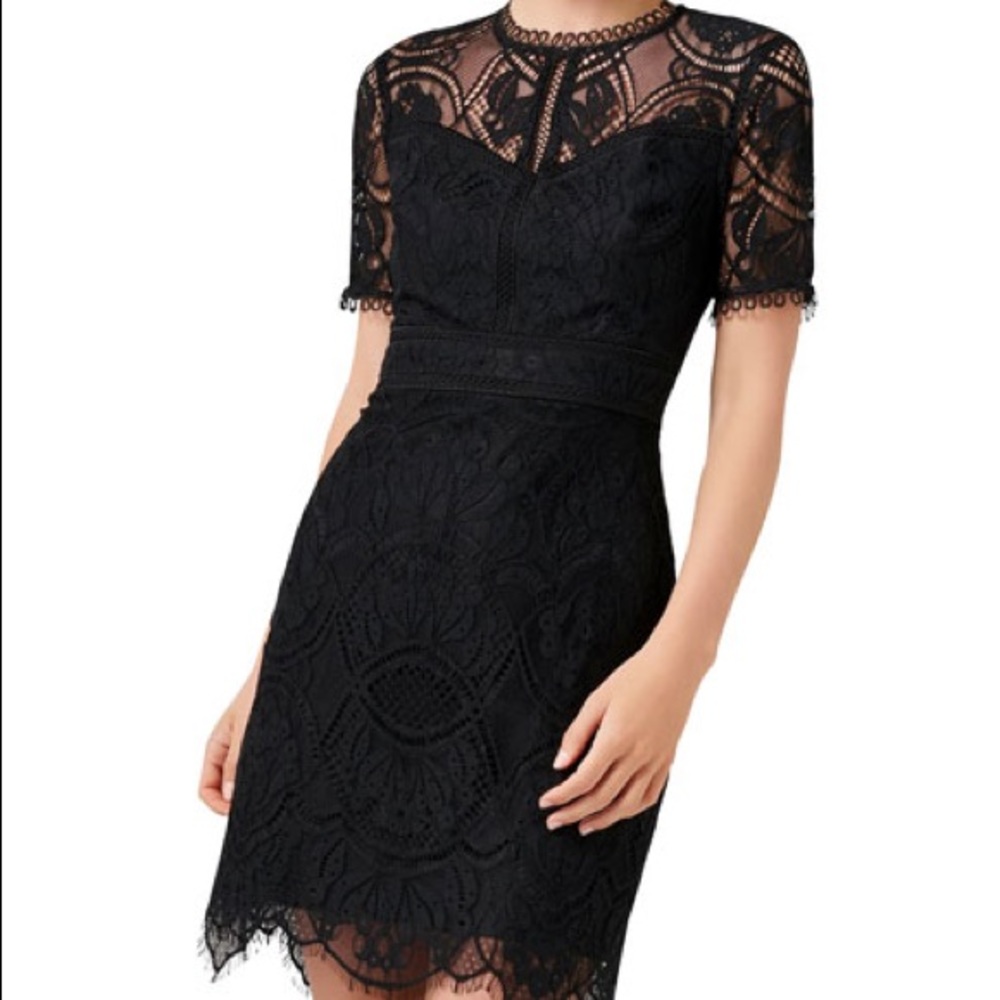 EVER NEW Lace Midi Dress